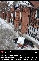 фото к отзыву